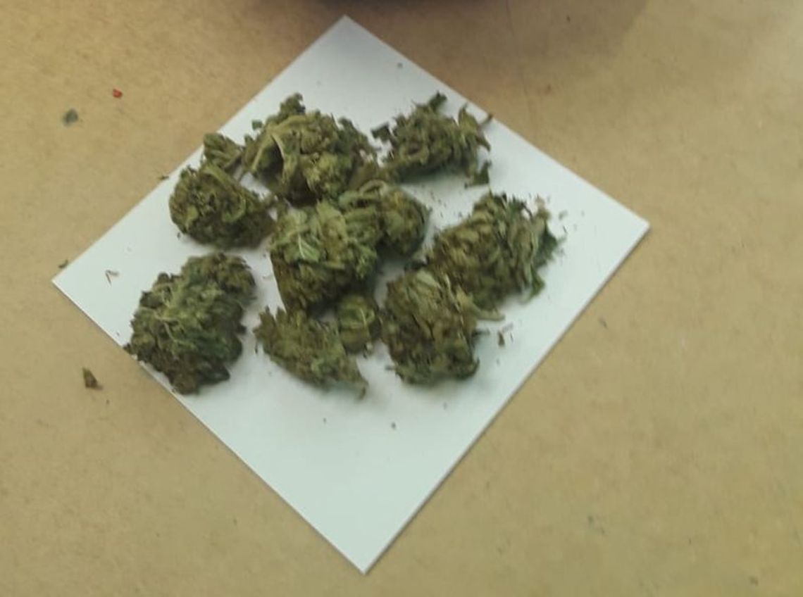 KOLEJNE NARKOTYKI ZABEZPIECZONE PRZEZ DZIERŻONIOWSKICH POLICJANTÓW KOLEJNE NARKOTYKI ZABEZPIECZONE PRZEZ DZIERŻONIOWSKICH POLICJANTÓW