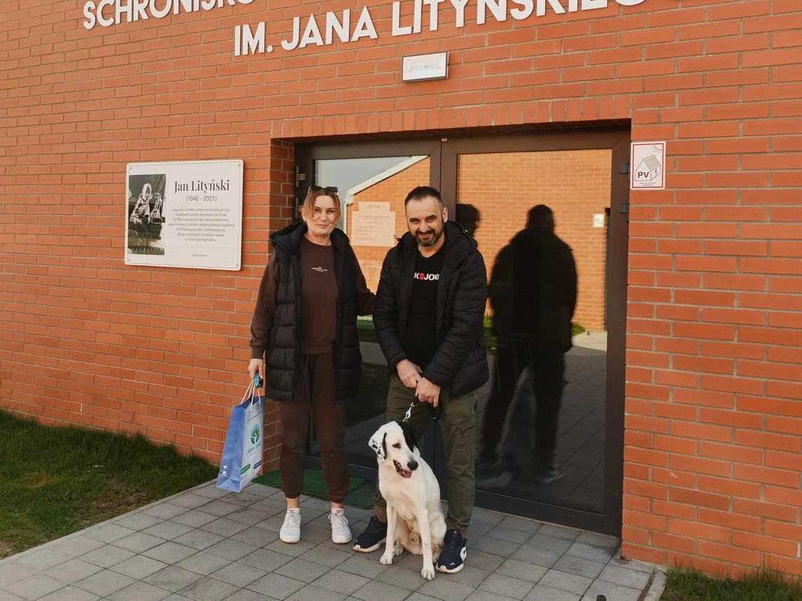 Kolejny sukces akcji #AquaPupil. Pongo znalazł nowy dom!