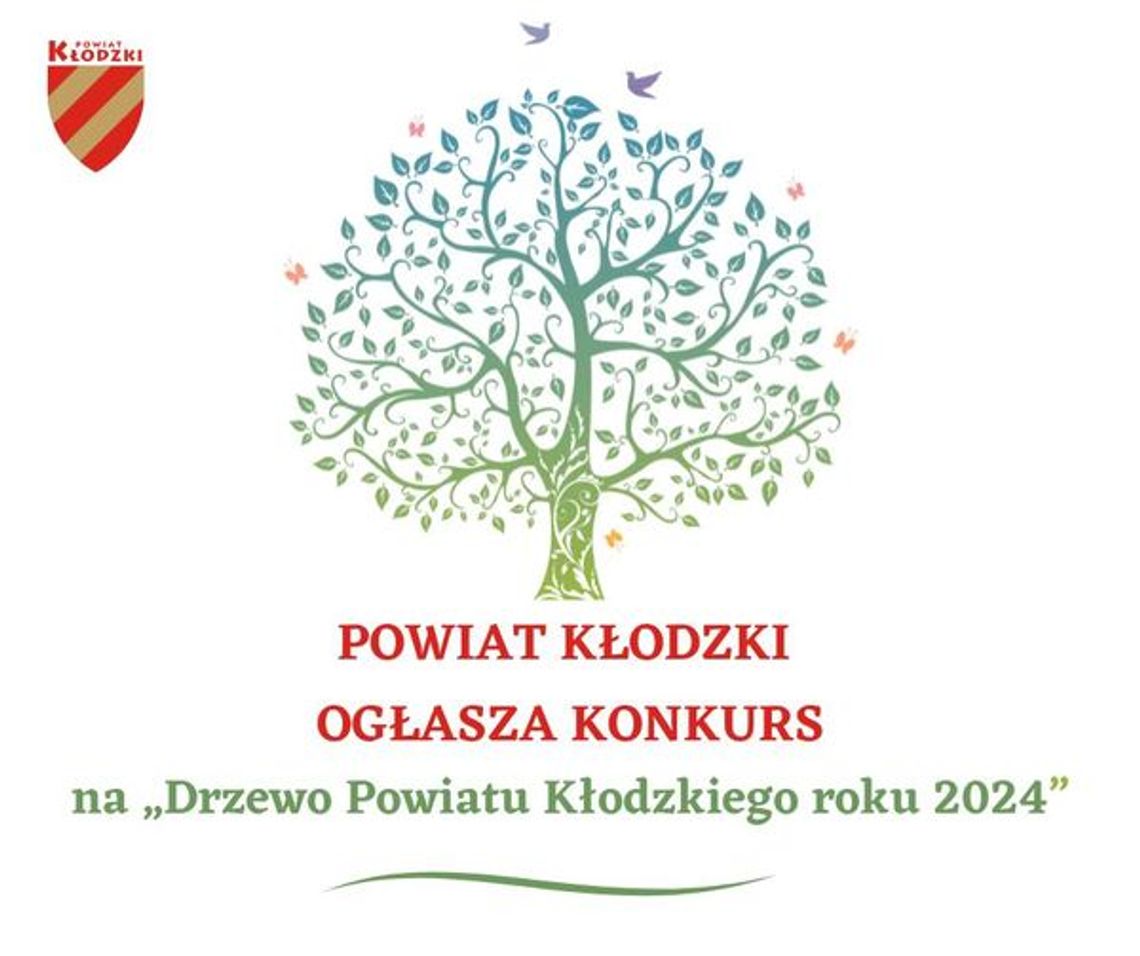 Konkurs Drzewo Powiatu Kłodzkiego 2024