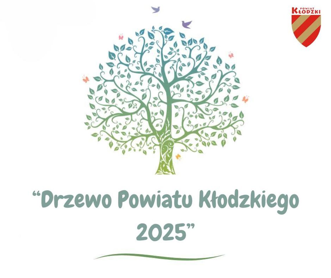 Konkurs „Drzewo Powiatu Kłodzkiego 2025” – ruszamy na poszukiwanie wyjątkowego drzewa!