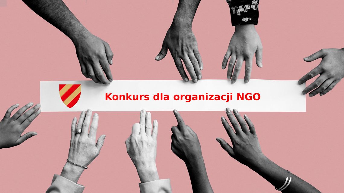 Konkursy dla organizacji NGO w powiecie kłodzkim