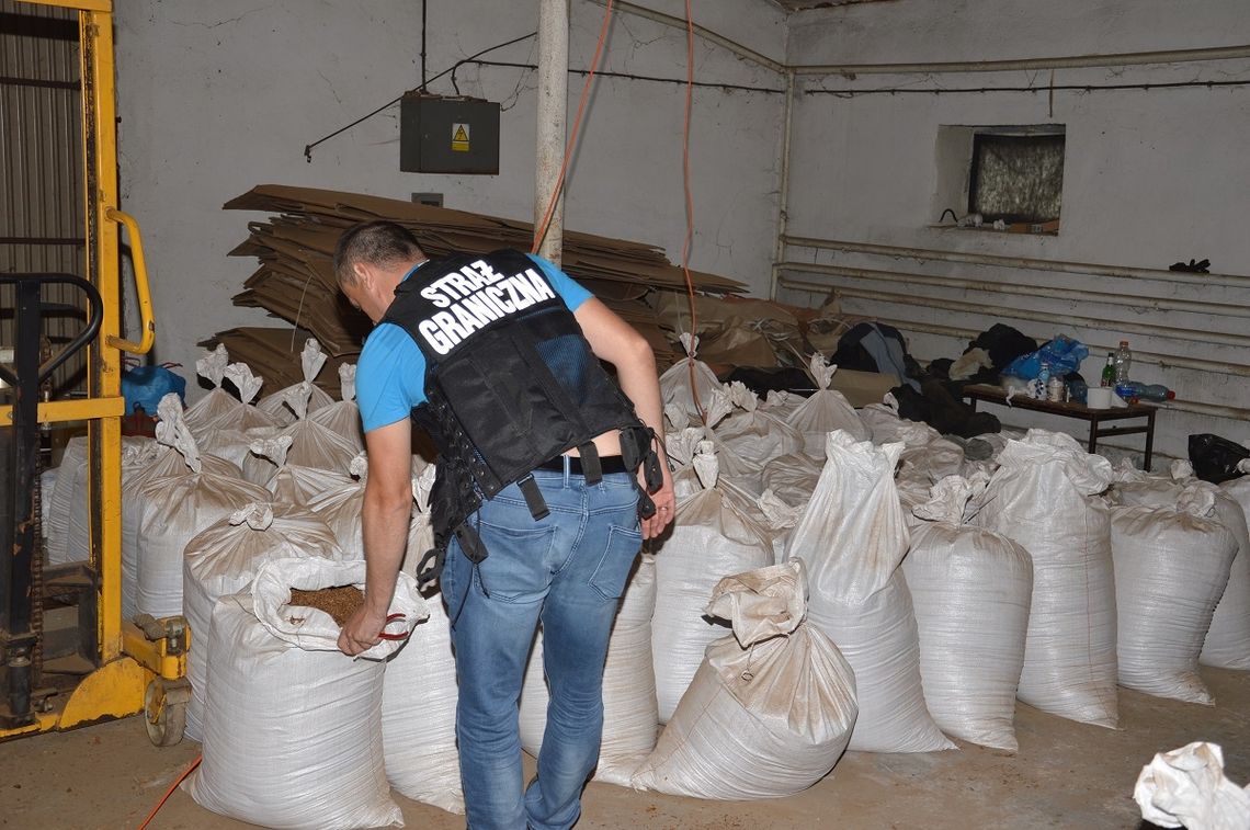 LIKWIDACJA NIELEGALNEJ KRAJALNI TYTONIU LIKWIDACJA NIELEGALNEJ KRAJALNI TYTONIU