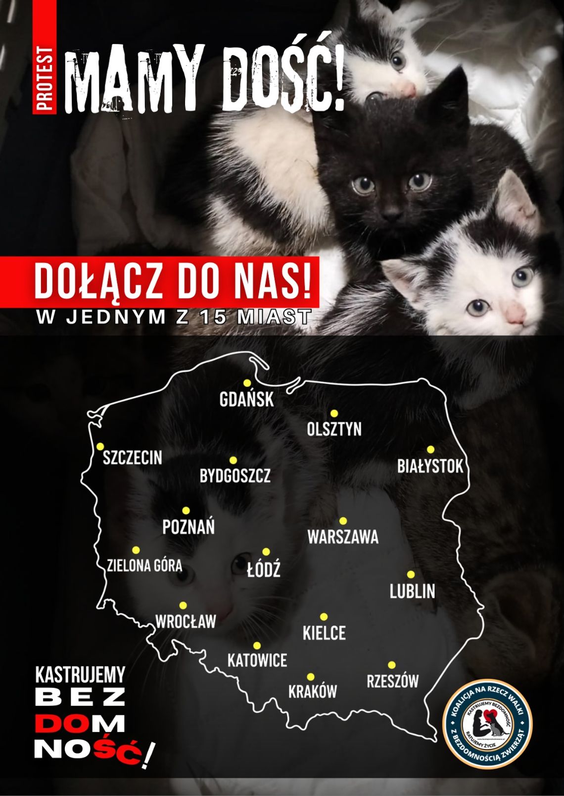 „MAMY DOŚĆ!”. Protesty w 15 miastach przeciwko cierpieniu zwierząt w Polsce