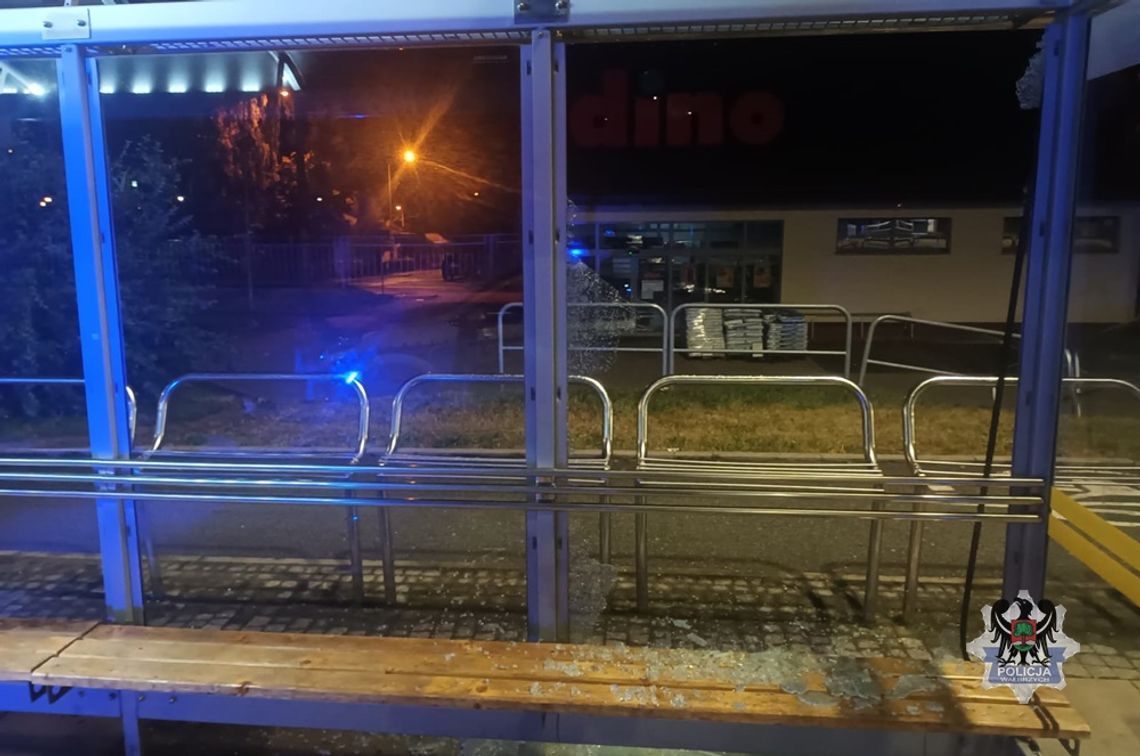 Miał 3 promile - policjanci zatrzymali mężczyznę, który młotkiem zniszczył wiatę przystankową Miał 3 promile - policjanci zatrzymali mężczyznę, który młotkiem zniszczył wiatę przystankową
