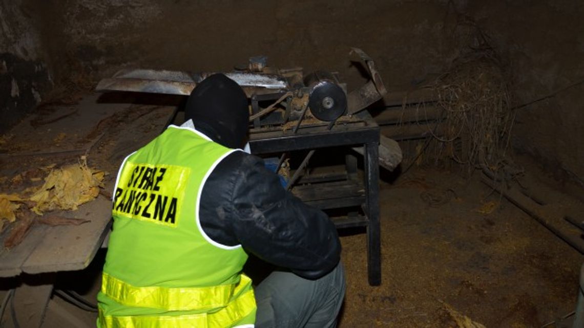 NIELEGALNA KRAJALNIA TYTONIU W WAŁBRZYCHU