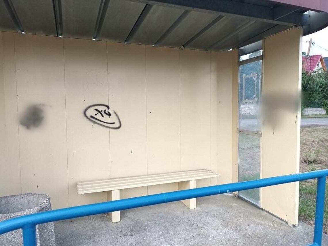 Nieletni nie są bezkarni. Kolejne skuteczne działania policjantów z Kamieńca Ząbkowickiego