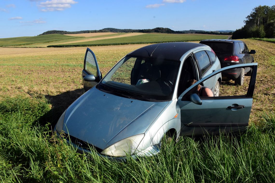 Nietrzeźwa wpadła do rowu