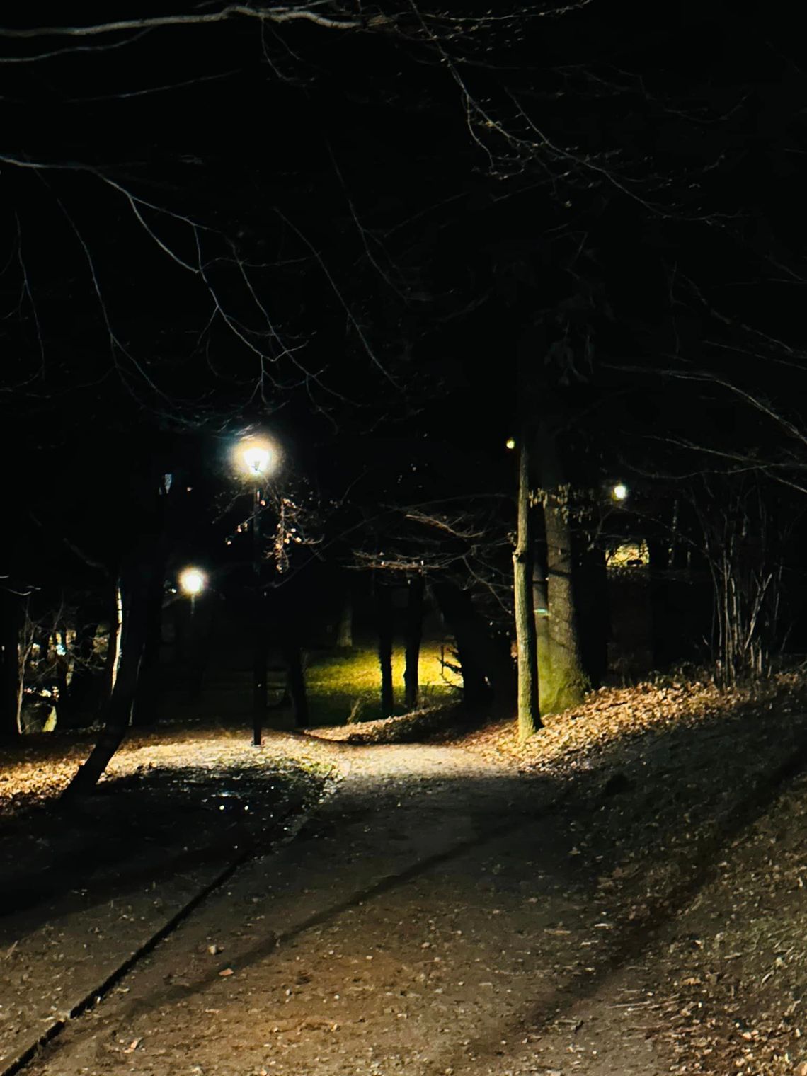 Nowe oświetlenie w Parku Miejskim  w Ziębicach