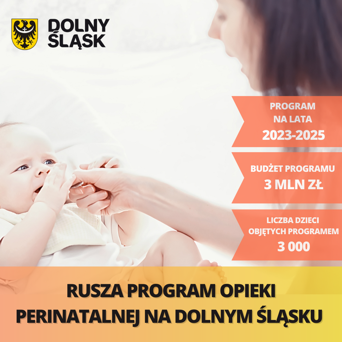 Nowym programem opieki perinatalnej na Dolnym Śląsku