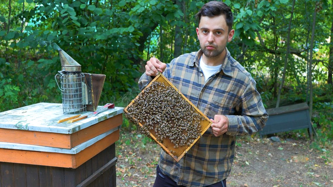 Pasieka pod Lasem - Piaseccy: Rodzinna tradycja i miód z sercem w Bielawie