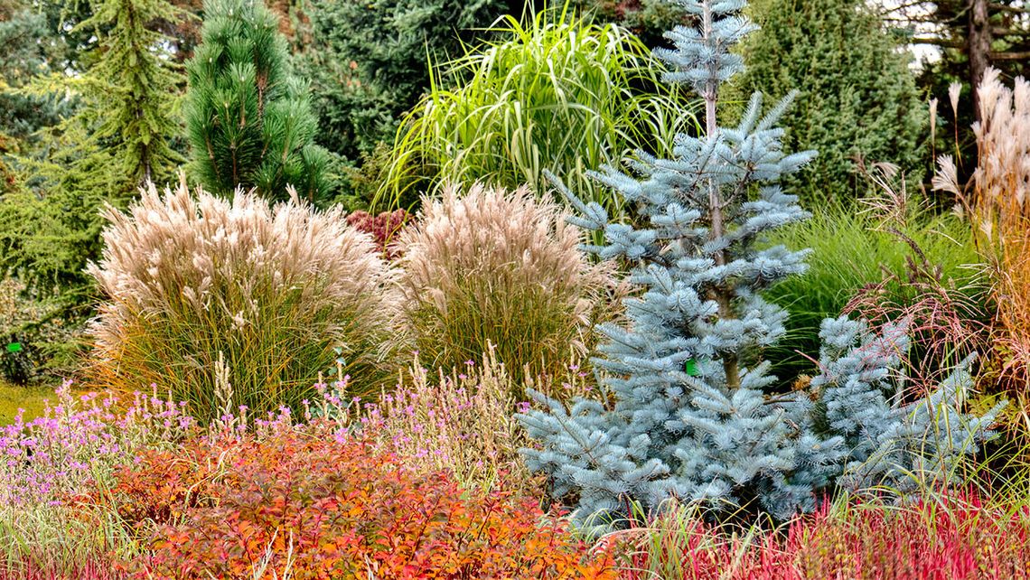 PIĘKNE KWIATY I ZIELEŃ PO RAZ 26 PIĘKNE KWIATY I ZIELEŃ PO RAZ 26