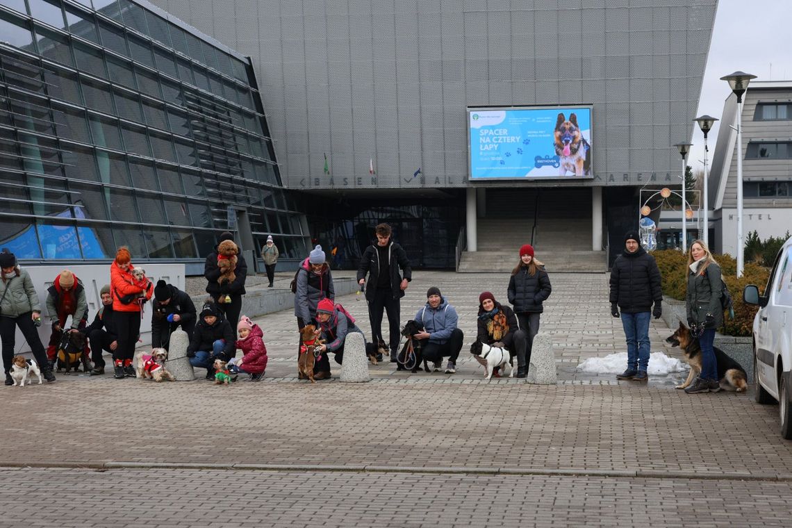 Pierwszy Spacer na Cztery Łapy za nami! 14 psów – 14 kilogramów karmy dla schroniska