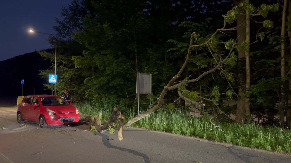 Pieszyce. Na jadące auto spadło drzewo
