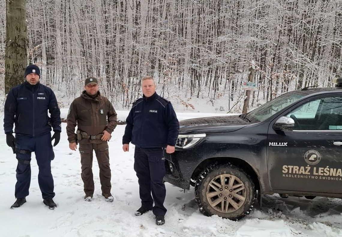 Policja i Straż Leśna przeciwko kradzieży choinek i drewna z lasów