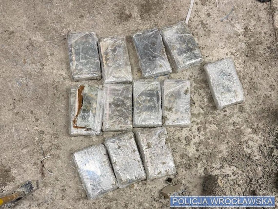 Ponad 42 kg kokainy ukryte w betonowych donicach – wspólna akcja funkcjonariuszy z KMP we Wrocławiu i CBŚP