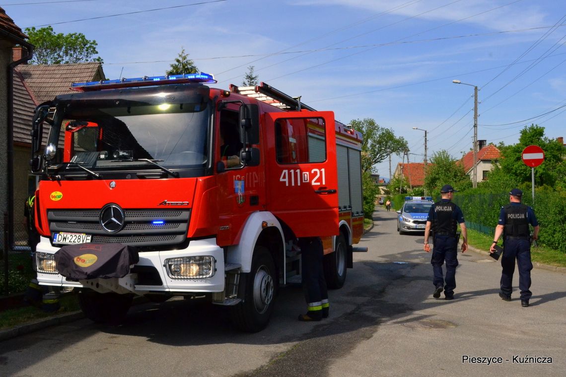 POŻAR W PIESZYCACH I DZIERŻONIOWIE