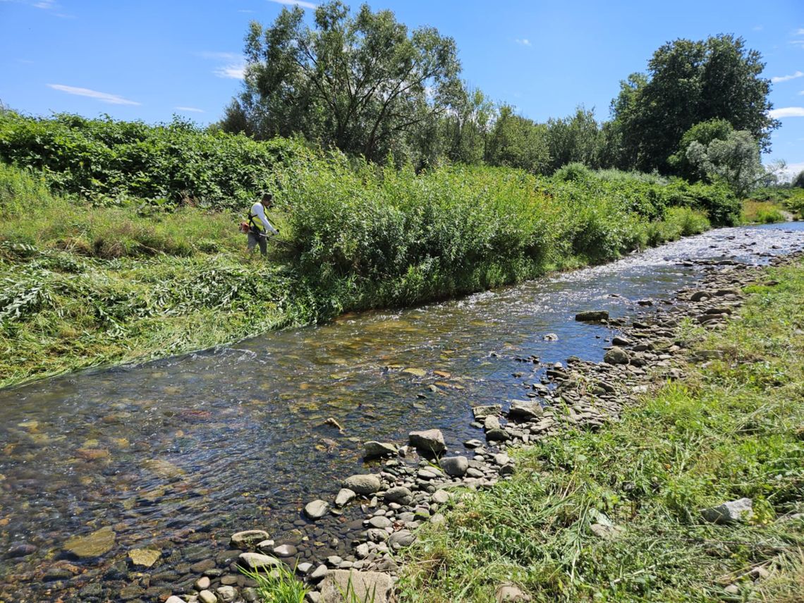 Prace porządkowe nad Bystrzycą Prace porządkowe nad Bystrzycą