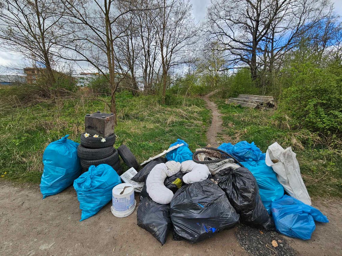 Prace społecznie użyteczne na terenie Świdnicy