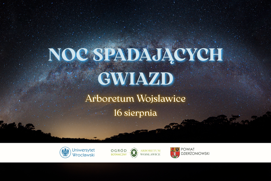Przed nami Noc Spadających Gwiazd