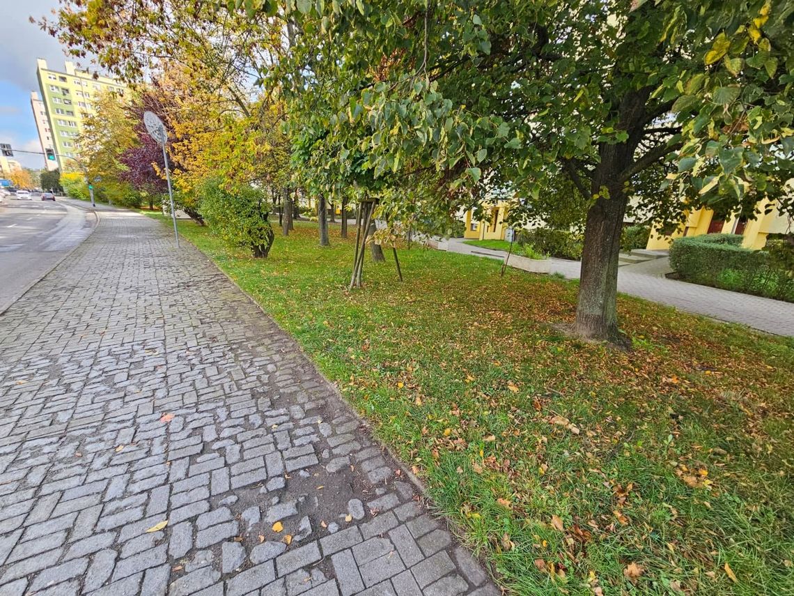 Przy ul. Marcinkowskiego powstanie 47 nowych miejsc parkingowych. Od 4 sierpnia ruszają prace Przy ul. Marcinkowskiego powstanie 47 nowych miejsc parkingowych. Od 4 sierpnia ruszają prace