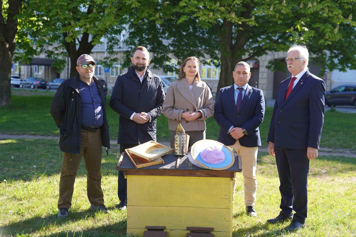 Pszczoły pod ochroną regionu. Kolejne wsparcie dla pszczelarzy