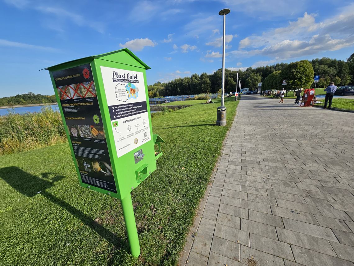 Ptasi Bufet w Świdnicy – mądre dokarmianie ptaków Ptasi Bufet w Świdnicy – mądre dokarmianie ptaków