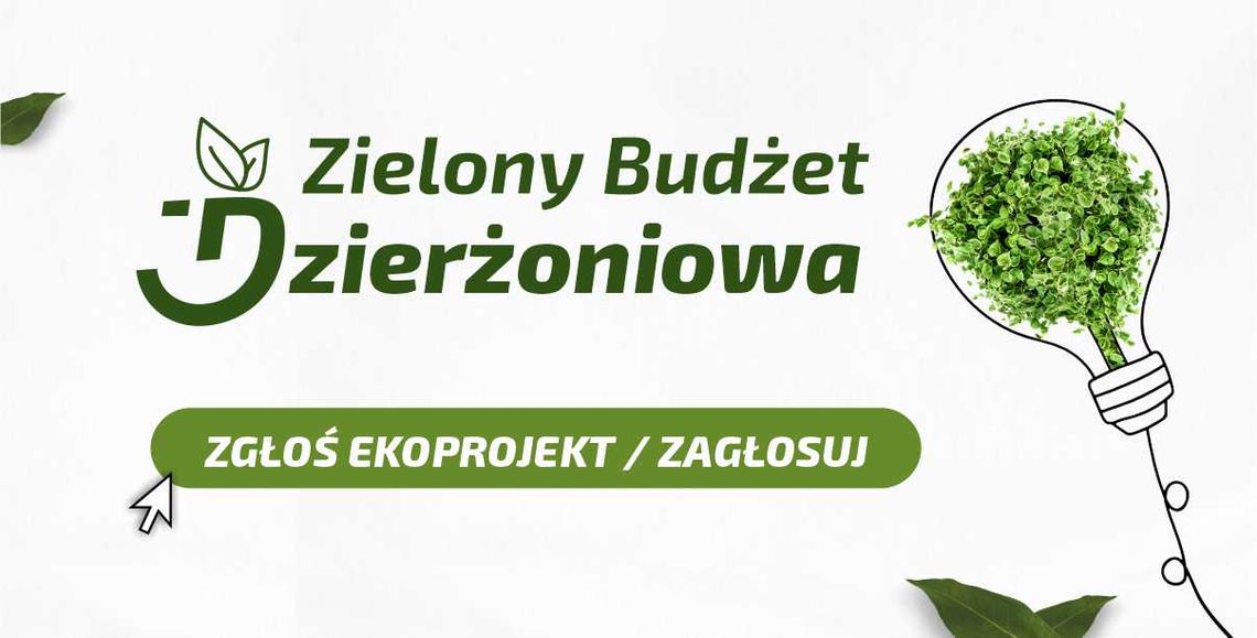 Rozkręcamy Zielony Budżet Dzierżoniowa 2026