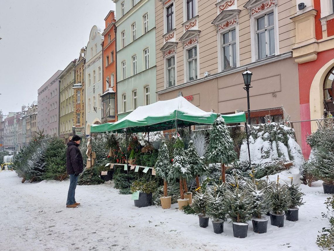 Rozpoczynają się zapisy na Świdnicki Jarmark Bożonarodzeniowy