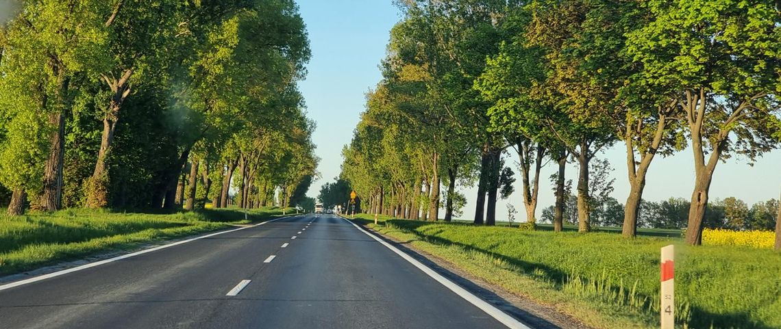 S8 od Barda do Kłodzka – kto wygra przetarg na dokumentację?