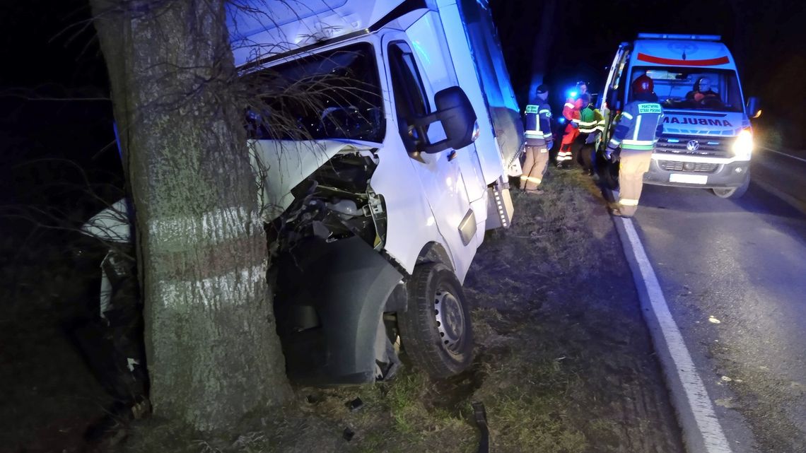 Samochód dostawczy uderzył w drzewo