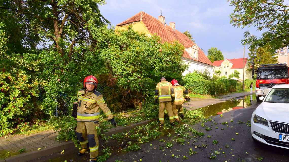 Skutki nawałnicy nad Dzierżoniowem