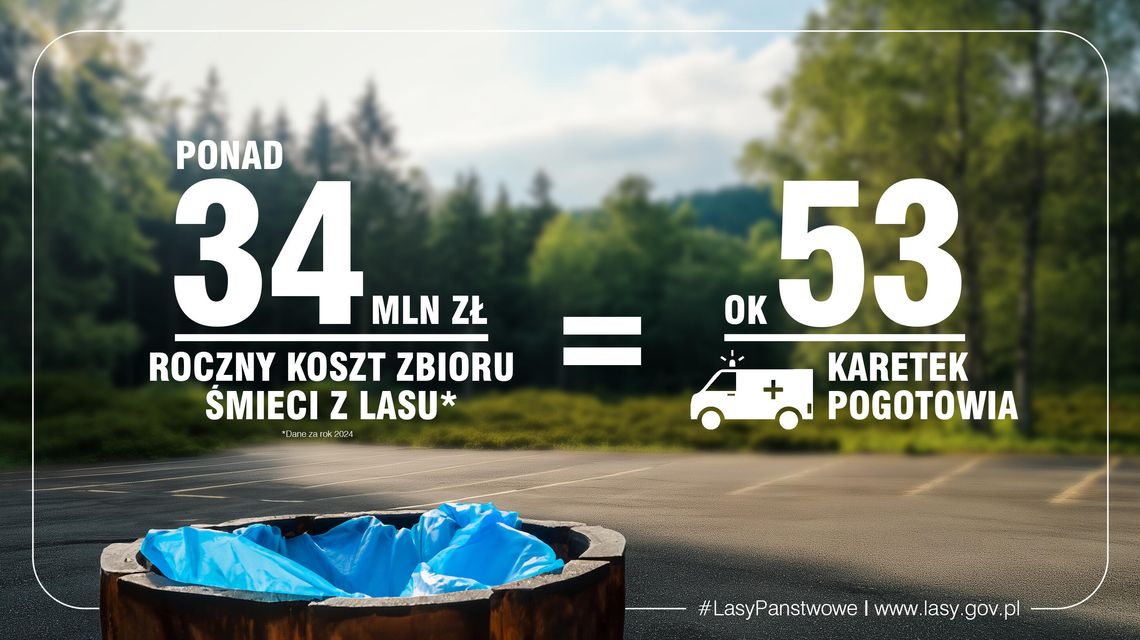Śmieci w lasach – niekończąca się opowieść