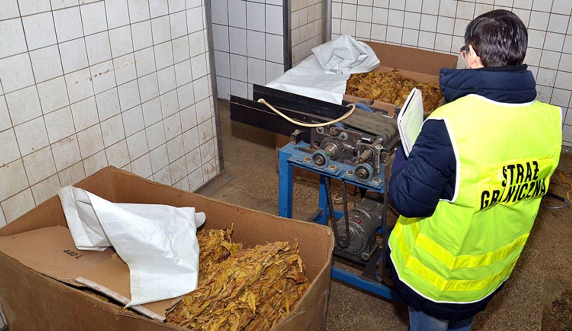 SPIRYTUS I WYROBY TYTONIOWE BEZ AKCYZY