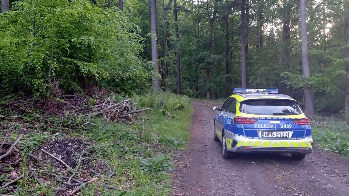 Sprawcy brutalnego zabójstwa w rejonie Bielawy zatrzymani