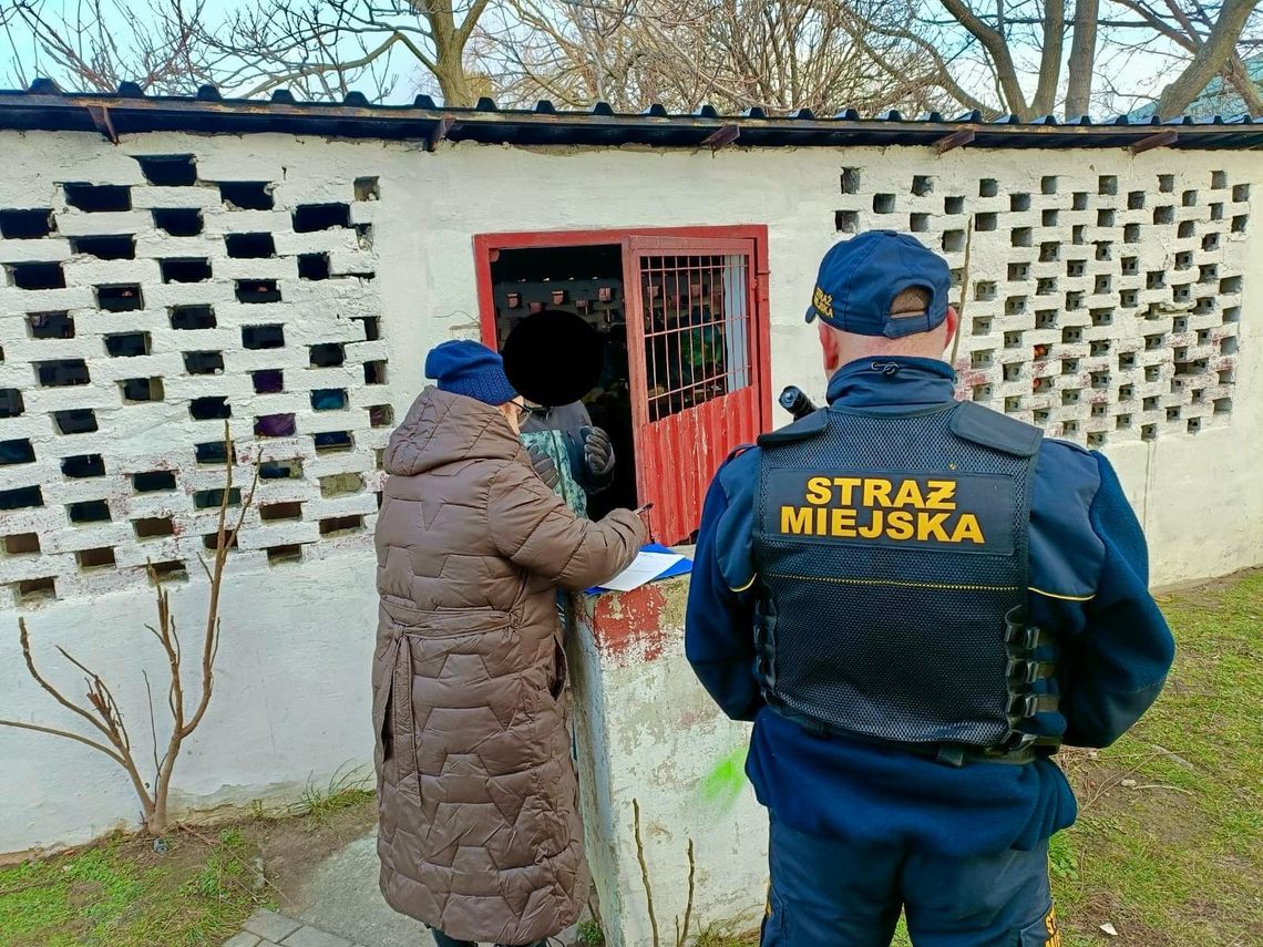 Straż Miejska w Bielawie apeluje - nie bądź obojętny! Straż Miejska w Bielawie apeluje - nie bądź obojętny!