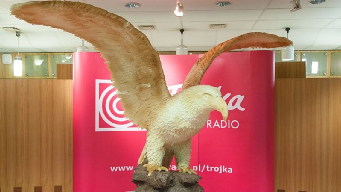 TRÓJKA LICYTUJE CZEKOLADOWEGO ORŁA TRÓJKA LICYTUJE CZEKOLADOWEGO ORŁA