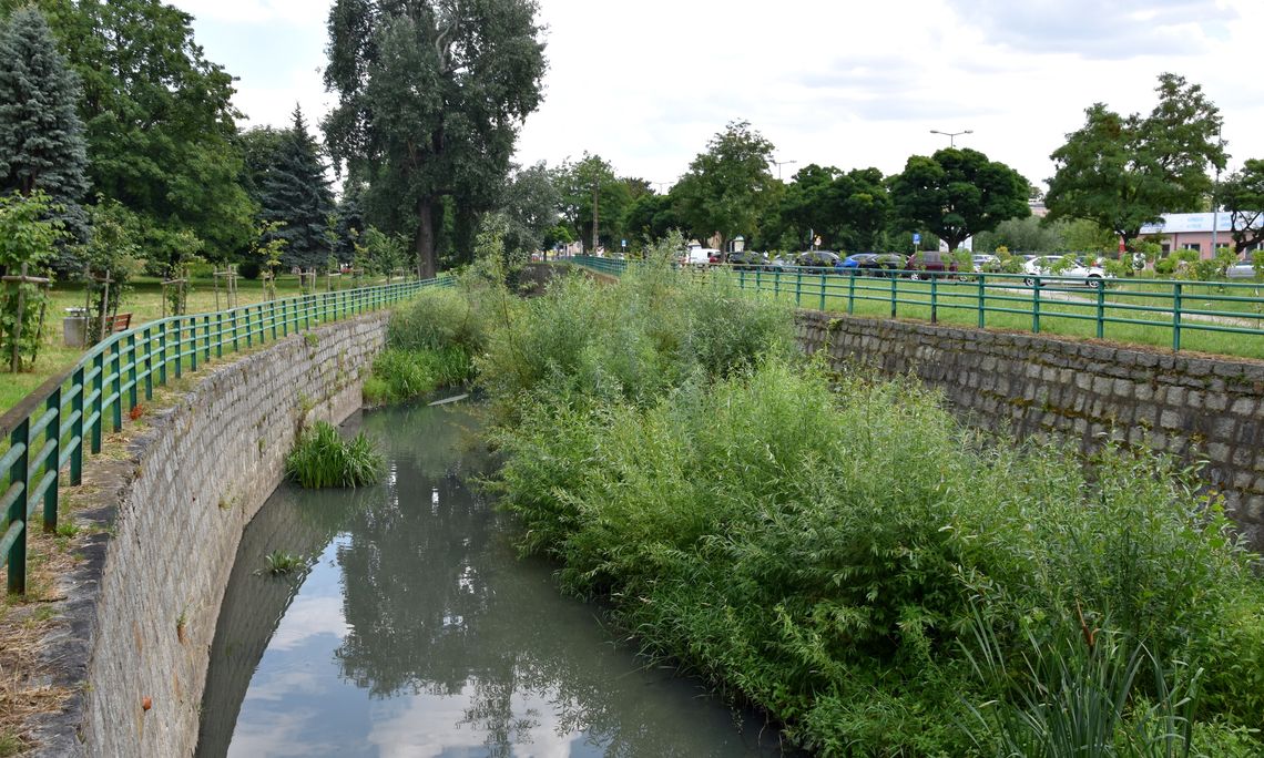 Udrożnienie potoku „Pieszyckiego”, potku „Brzęczek” i oczyszczenie koryta „Piławy” na ponad kilometrowym odcinku Udrożnienie potoku „Pieszyckiego”, potku „Brzęczek” i oczyszczenie koryta „Piławy” na ponad kilometrowym odcinku