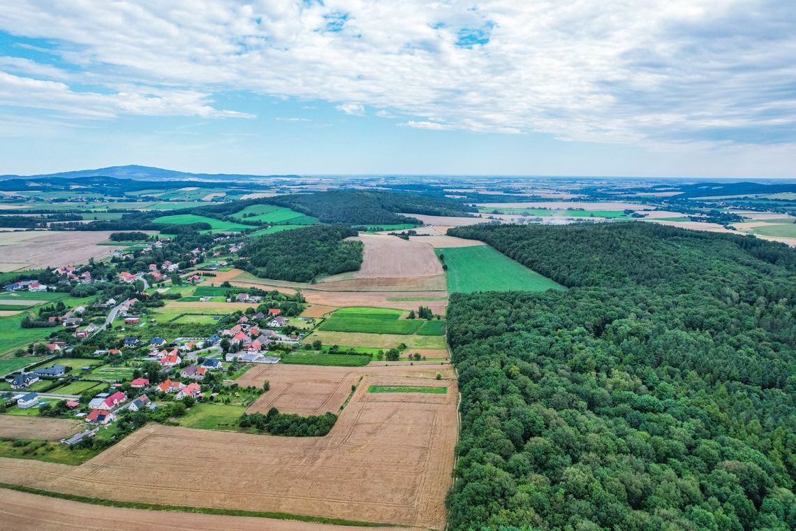 Wakacyjny przewodnik po powiecie dzierżoniowskim – odcinek 1 Wzgórze Grzybowiec