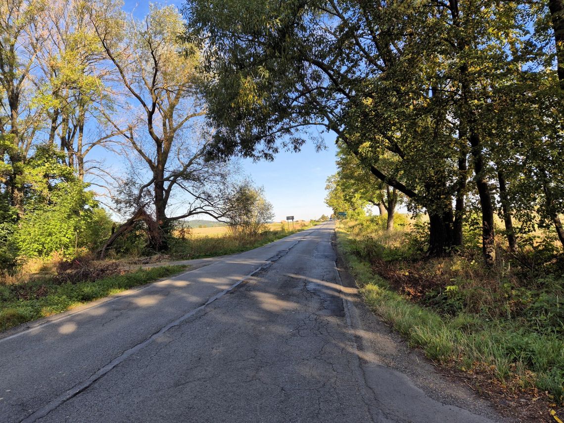 Wkrótce ruszy budowa ścieżki pieszo-rowerowej z Pieszyc do Piskorzowa