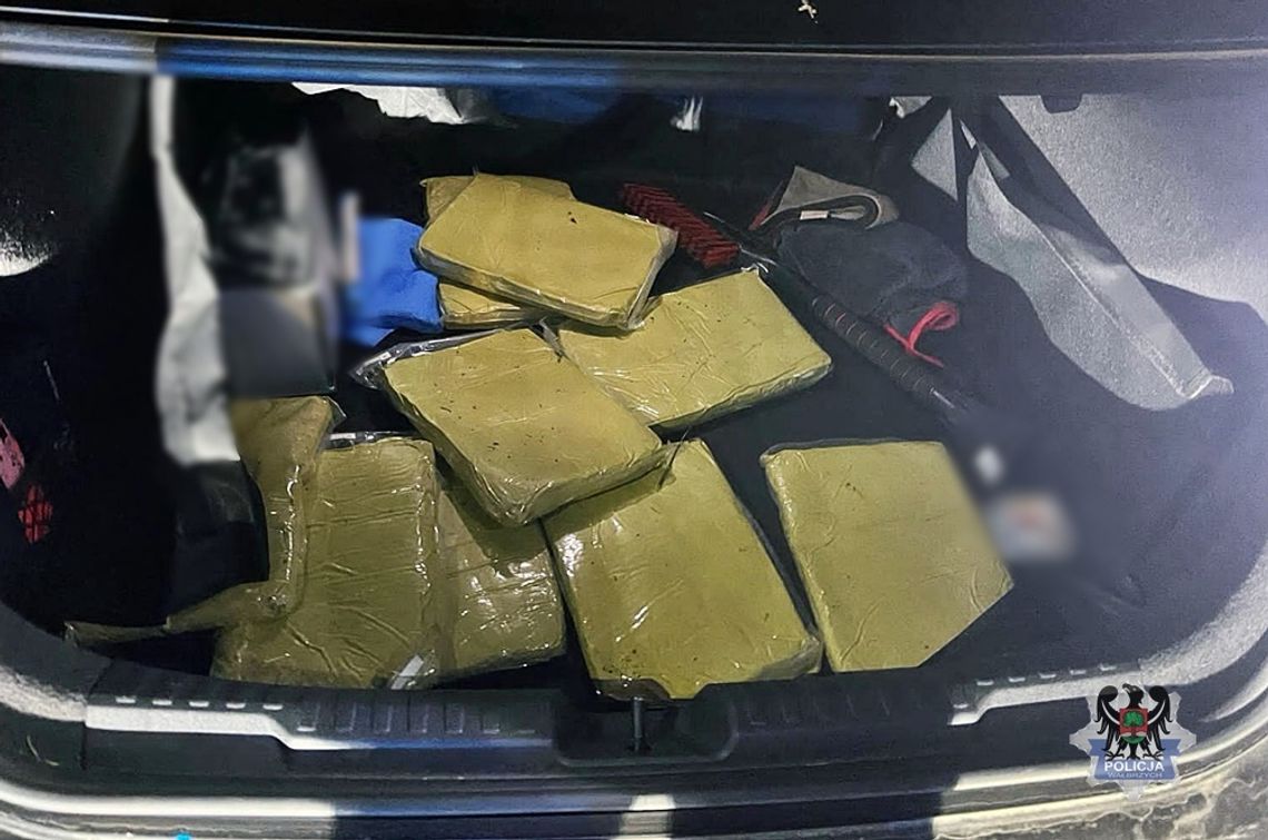 Wwiózł do Polski znaczną ilość substancji psychoaktywnej w postaci kratomu Wwiózł do Polski znaczną ilość substancji psychoaktywnej w postaci kratomu