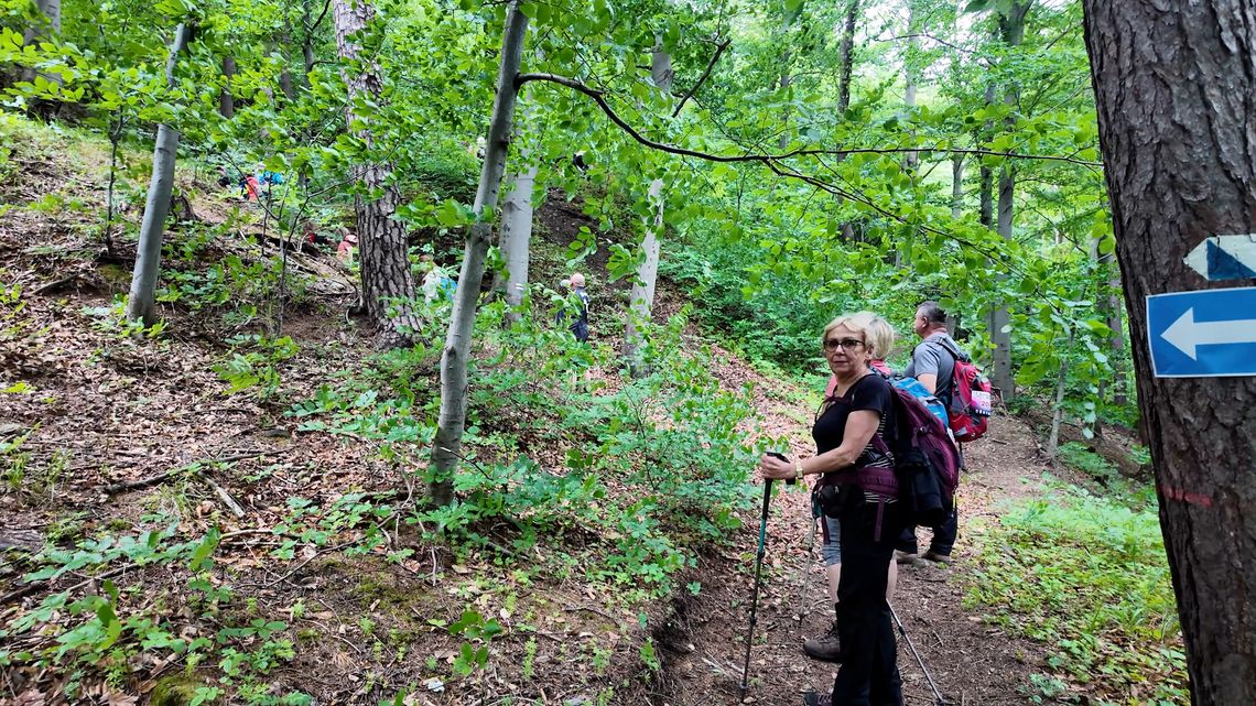 Za nami czwarta edycja ,,Sowiogórskiego Muflona'' Za nami czwarta edycja ,,Sowiogórskiego Muflona''
