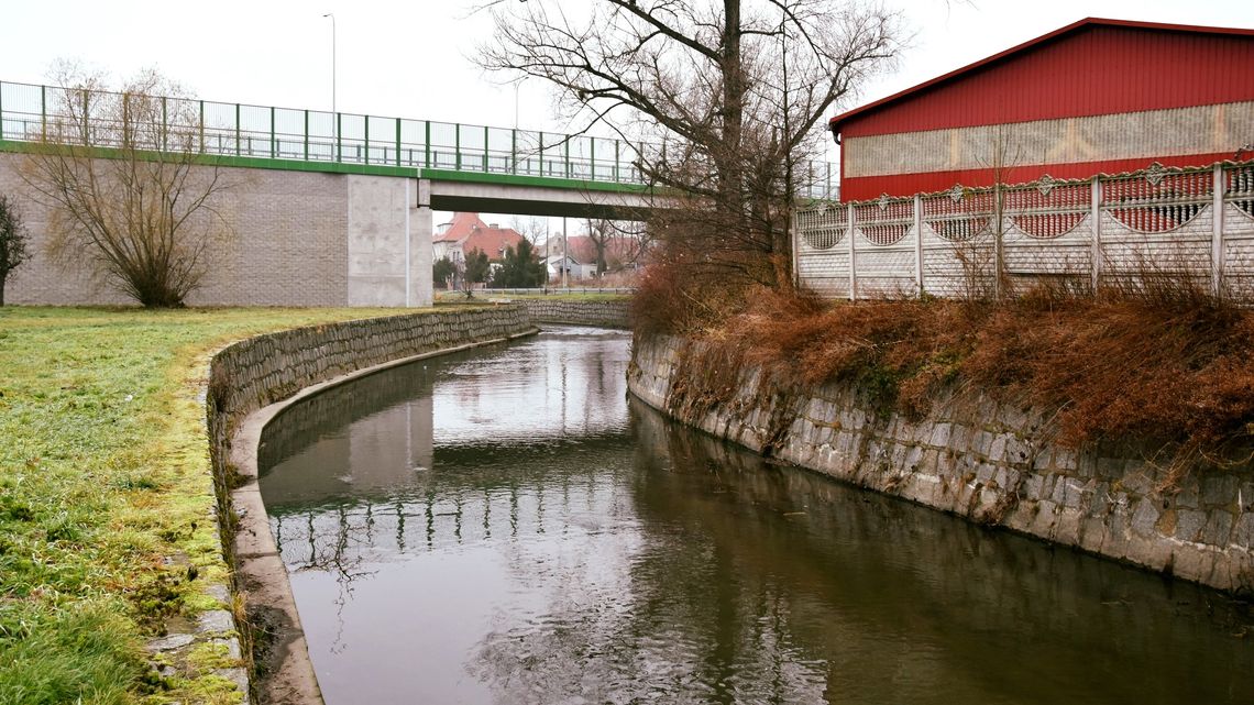 ZAKOŃCZYŁ SIĘ DRUGI ETAP CZYSZCZENIA RZEKI PIŁAWY ZAKOŃCZYŁ SIĘ DRUGI ETAP CZYSZCZENIA RZEKI PIŁAWY