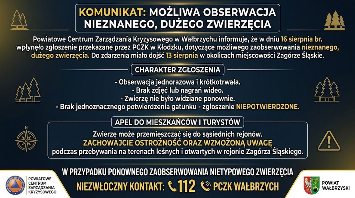 Zaobserwowano nieznane zwierzę w rejonie Zagórza Śląskiego