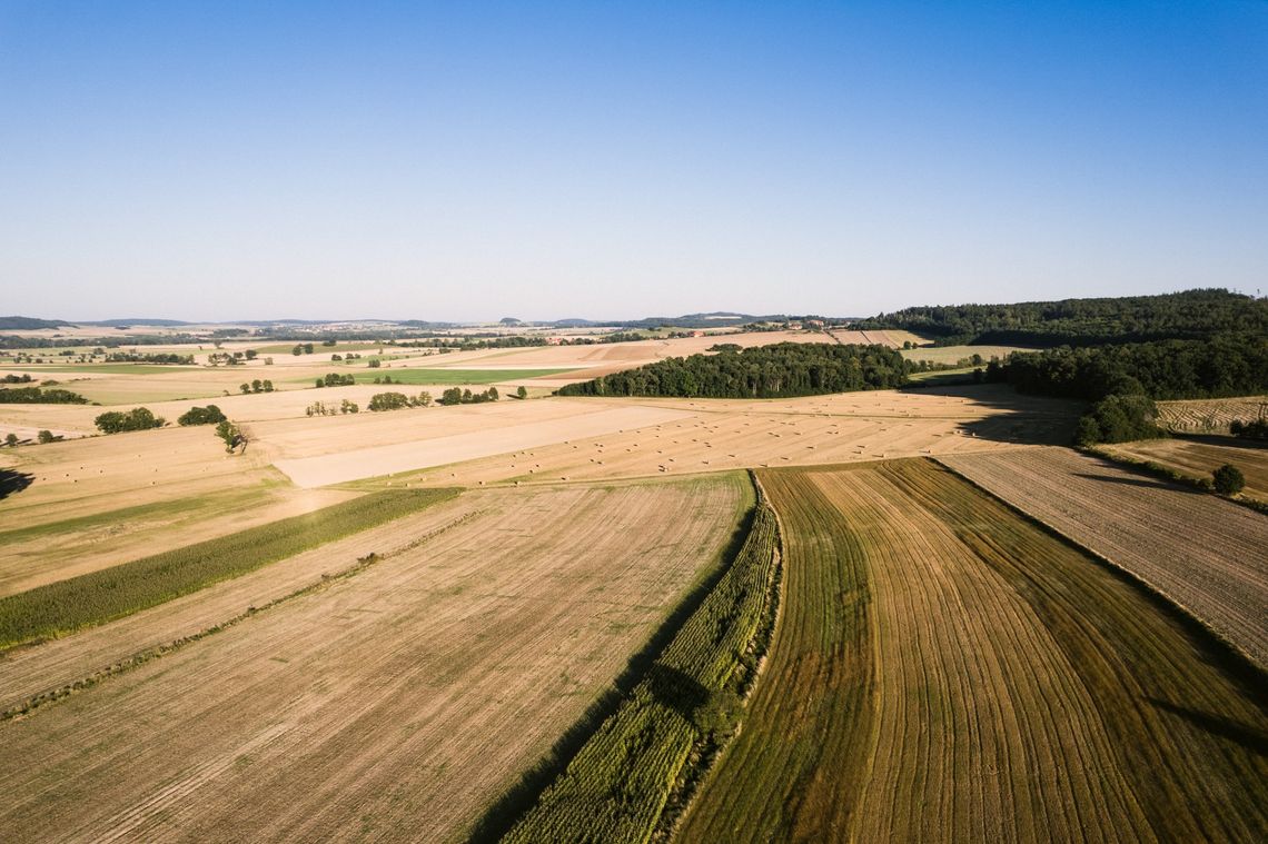 Zapowiedź Powiatowo – Gminnych Dożynek