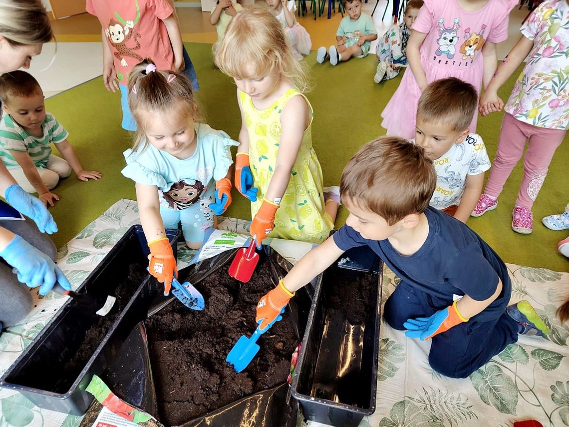 Zielony zakątek w „Bajkowej Dolince” w Pszennie