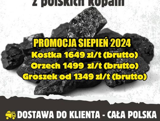 Węgiel hurtowy z Polski - Sierpniowa promocja 2024