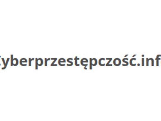 Cyberprzestepczość