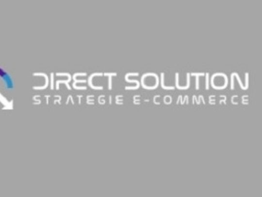 Direct Solution - strategie e-commerce