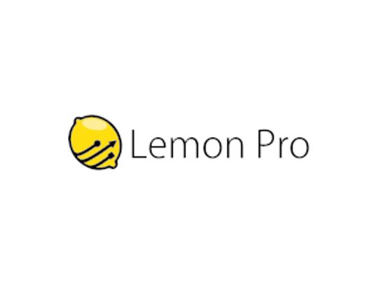 Doradztwo informatyczne - LEMON PRO