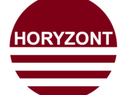 HORYZONT Paweł Buczek - moskitiery, rolety, żaluzje